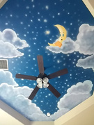 Night sky moon mural